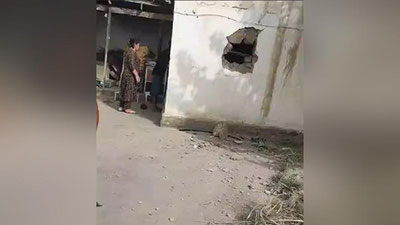 Изрображение 'В Афганистане ведут розыск исполнителей ракетного обстрела Термеза'