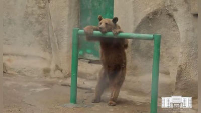 Изрображение 'Каким будет столичный зоопарк после реконструкции (видео)'