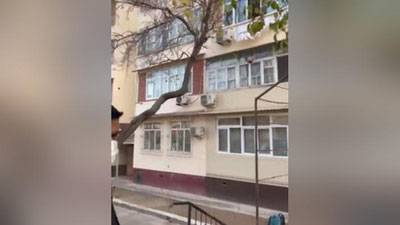 Изрображение 'Президент побывал в махаллях Шайхантахурского района (видео)'