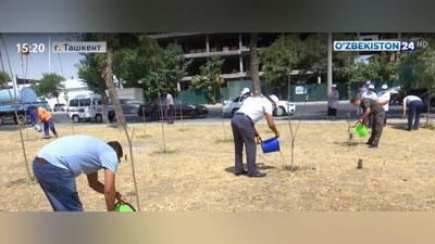 Изрображение 'В Ташкенте проходит акция по поливу деревьев (видео)'