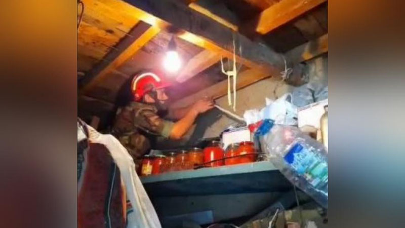 Изрображение 'Спасатели в доме на Чиланзаре выловили змею (видео)'