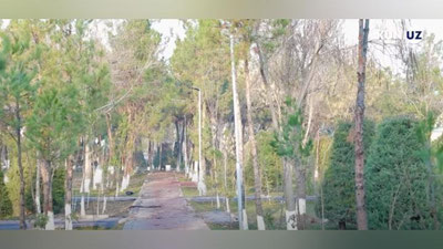 Изрображение 'Ташкентский хокимият отреагировал на сообщение о строительстве в парковой зоне в Мирзо-Улугбекском районе'
