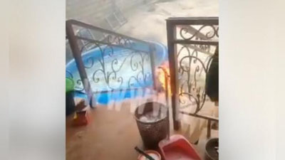 Изрображение 'В ГУВД отреагировали на видео жестокой расправы над собакой'