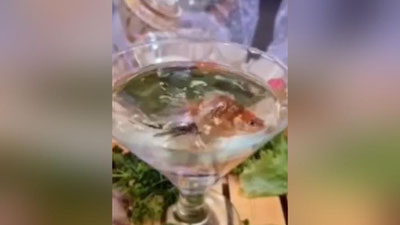 Изрображение 'Резонанс в сети: свадебные столы в Бухаре "украсили" живыми рыбками (видео)'