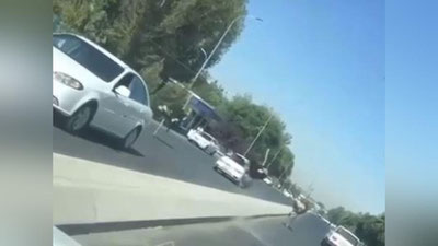 Изрображение 'На дороге в Самарканде заметили бегущих страусов (видео)'