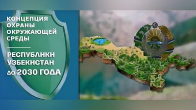 Изрображение 'Запрет на вырубку и ввоз токсичного топлива: подробно о новом Указе (видео)'