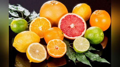 Изрображение 'В Узбекистане создадут Центр цитрусовых и тропических растений (видео)'