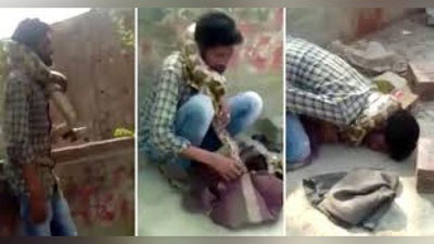 'Ҳиндистонда илон авровчини бўғма илон ўлдириб қўяёзди (Видео)'ning rasmi