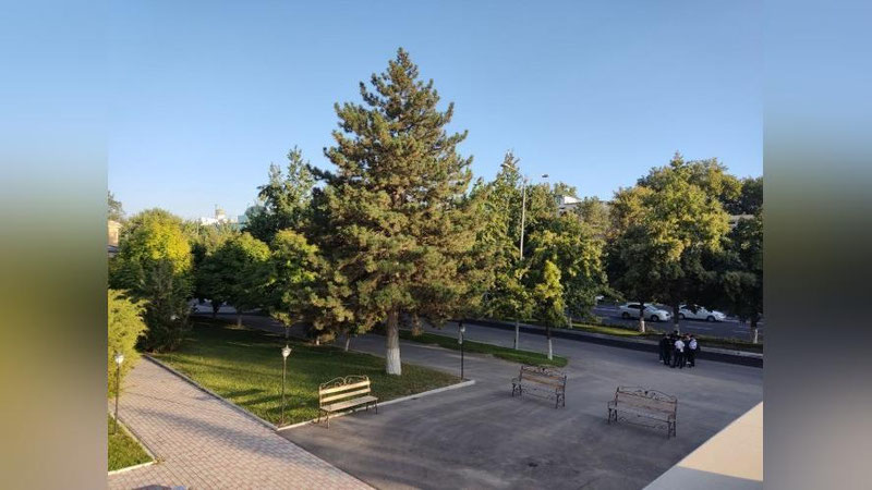Изрображение 'В Ташкенте воздух прогреется до +29: погода на 26 сентября'