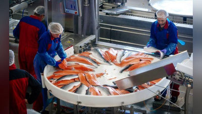 Изрображение 'Узбекистан и Россия будут сотрудничать в рыболовстве'