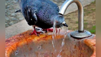 'Harorat 41 darajaga chiqadi'ning rasmi