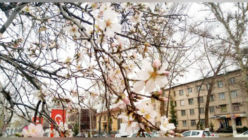 'Bugun harorat ko`tariladi, ikkita hududda esa yomg`ir yog`adi'ning rasmi