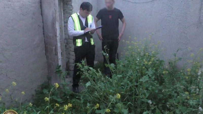 'Samarqandda 81 yoshli otaxon uyida giyohvandlik o`simligi etishtirayotganligi aniqlandi'ning rasmi