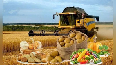 'Olmon olimlarining qishloq xo`jaligi bo`yicha o`quv qo`llanmalari o`zbek tiliga tarjima qilindi'ning rasmi