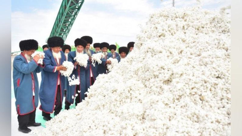 'Turkmanistonda bu yil rekord paxta yig`imi kutilmoqda'ning rasmi