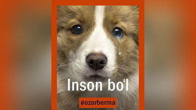 'Qarshida itni zanjir bilan urgan fuqaro ustidan IIBga murojaat qilindi'ning rasmi