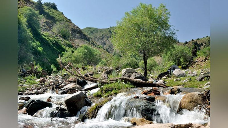 'Bugun O`zbekistonda havo harorati +38°gacha isiydi'ning rasmi