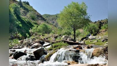 'Bugun O`zbekistonda havo harorati +38°gacha isiydi'ning rasmi