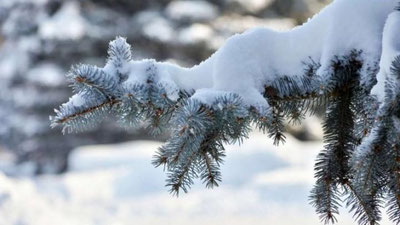 '26 fevral kuni qanday ob-havo kuzatiladi?'ning rasmi