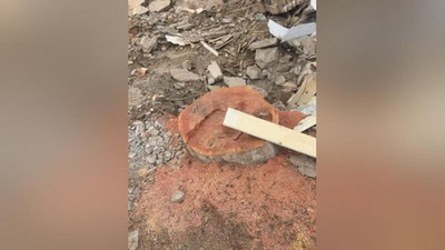 Изрображение 'Инспектор управления экологии в Джизаке потребовал взятку за незаконный спил'