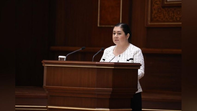 'Senatda Ombudsman faoliyati tanqidga uchradi'ning rasmi