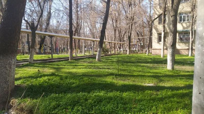 Изрображение 'В Ташкенте сегодня потеплеет до +20: погода на 18 марта'