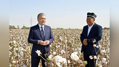 Изрображение 'Президент побывал на хлопковых полях в Сырдарьинской области'