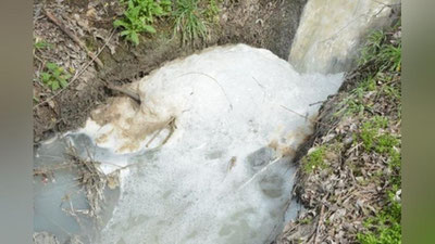 'Чустнинг чиқиндиси Попни булғамоқда. Бу ҳолатга қачонгача чидаш мумкин?!'ning rasmi