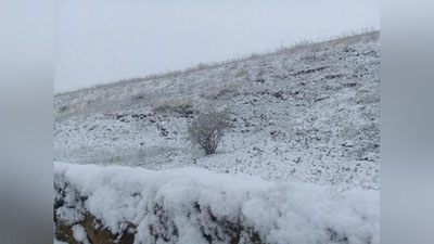 'O`zbekistonda qish o`z vaqtida boshlanadi! "O`zgidromet" haftalik ob-havo ma`lumotini e`lon qildi'ning rasmi