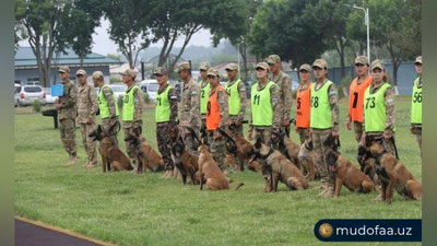 Изрображение 'В Узбекистане стартовали соревнования кинологов "Дог биатлон" (фото)'