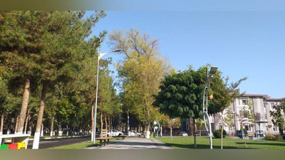 'Bugun O`zbekistonda qanday ob-havo kuzatiladi?'ning rasmi