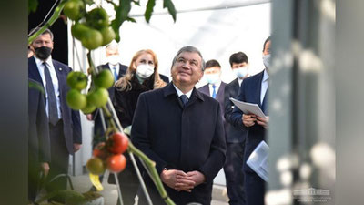 '205 milliard so`m mablag` evaziga 7 gektar maydonda qurilgan Xorazmdagi innovasion issiqxonani Prezident bilan birga aylanamiz (fotojamlanma)'ning rasmi