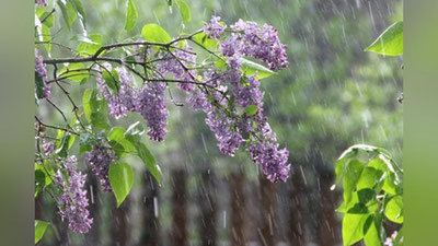 'Ertaga O`zbekistonga Ural hududlaridan deyarli sovuq antisiklon kirib kelishi bashorat qilinmoqda'ning rasmi