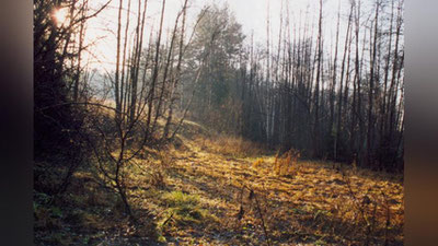 'Bugun O`zbekistonda qanday ob-havo kuzatiladi?'ning rasmi