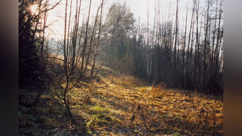 'Бугун Ўзбекистонда қандай об-ҳаво кузатилади?'ning rasmi