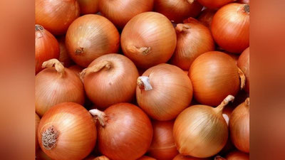 'O`zbekiston piyoz eksportiga qo`yilgan vaqtinchalik cheklovni bekor qildi'ning rasmi