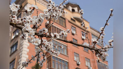 'Kelasi hafta boshida O`zbekistonda qanday ob-havo kutilmoqda?'ning rasmi