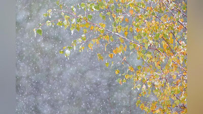 'Kelasi haftada mamlakatimizda ob-havoning keskin sovishi kutilmoqda 'ning rasmi