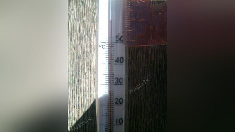 Изрображение 'КОРОТКО О ПОГОДЕ:  ЖАРА В СОЦИАЛЬНЫХ СЕТЯХ (ФОТО, ВИДЕО)'