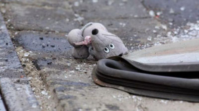 'Namanganlik haydovchi Surxondarayoda piyodalar yo`lidan o`tayotgan opa-ukani urib yubordi(video)'ning rasmi