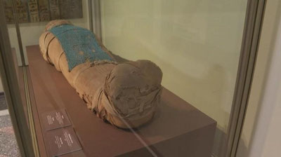 'Kolumbiyada “o`zga sayyoralik” mumiyasi topildi'ning rasmi