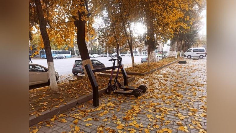 'Bugun O`zbekistonda harorat kunduzi 20 darajagacha iliq bo`ladi'ning rasmi