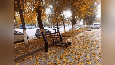 'Bugun O`zbekistonda harorat kunduzi 20 darajagacha iliq bo`ladi'ning rasmi