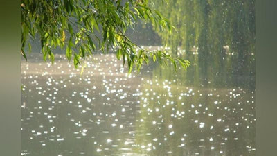 '20 апрель куни республика бўйлаб ёмғир ёғиши хабар қилинди'ning rasmi