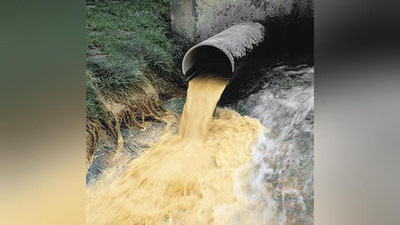 Изрображение 'Ужесточается наказание за нарушения в сфере экологии'