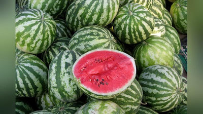 Изрображение 'В Ташкенте парень украл телефон у спящего продавца арбузов'