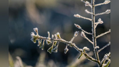 'Ўзбекистонда ҳаво ҳарорати совиб кетиши кутилмоқда'ning rasmi