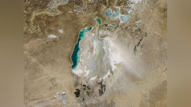 'Orol dengizining suvi qurigan hududida himoya o`rmonzorlari barpo etiladi 'ning rasmi