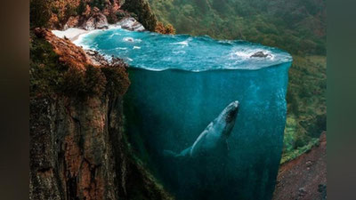 '​Huseyn Shahinning kishini hayratga soluvchi g`aroyib ijod namunalari (Foto)'ning rasmi