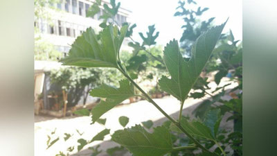 Изрображение 'КАКАЯ ПОГОДА НАС ЖДЕТ В ВОСКРЕСЕНЬЕ 11 ИЮНЯ?'